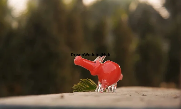 Product photographer